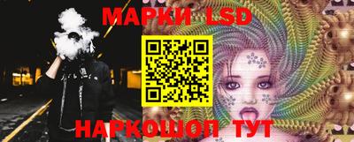 стаф Дубна