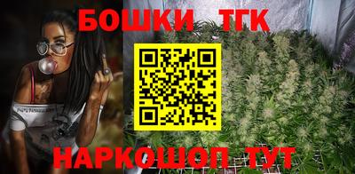 стаф Дубна