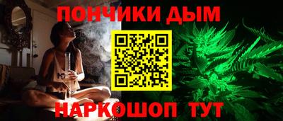 стаф Дубна