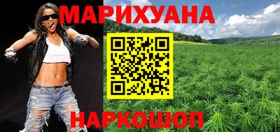 стаф Дубна