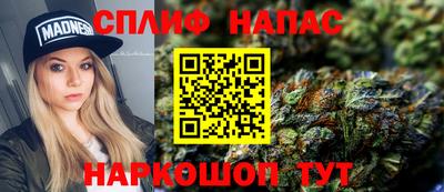 стаф Дубна