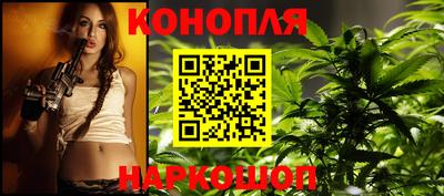 стаф Дубна